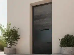 porte entree1 (2)